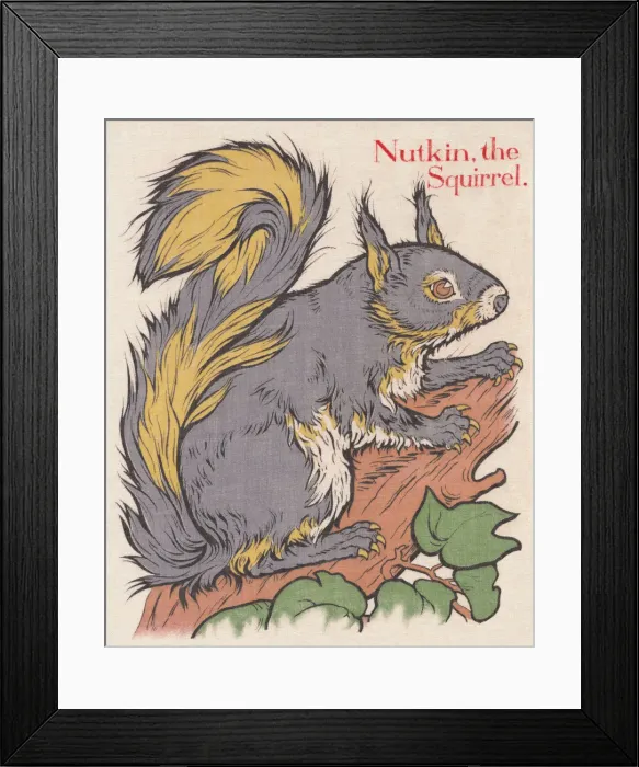 Framed Print : Squirrel. An image depicting a grey squirrel. Artist: Edith Berkeley Framed Print : Squirrel. An image depicting a grey squirrel. Artist: Edith Berkeley