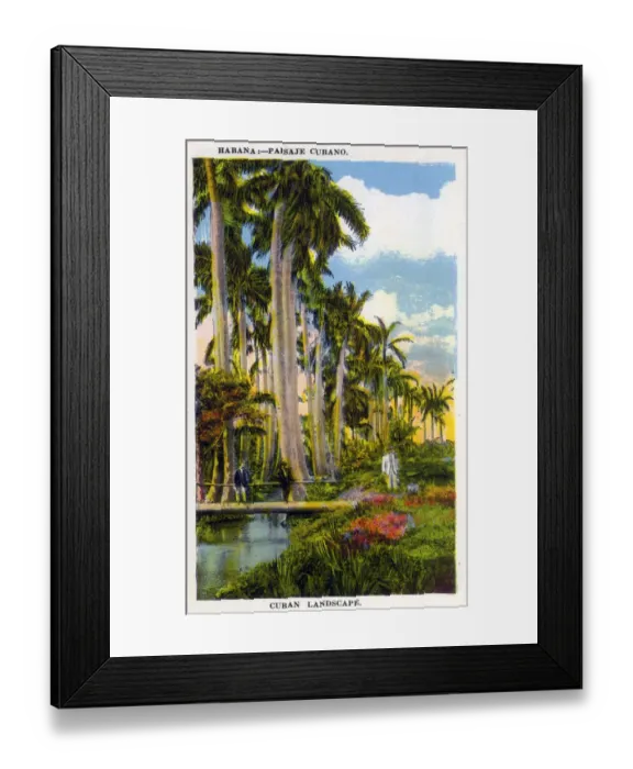 Framed Print : 13418543 Framed Print : 13418543
