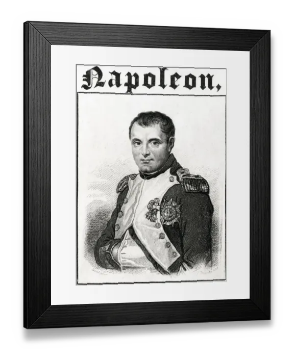 Framed Print : 13418559 Framed Print : 13418559