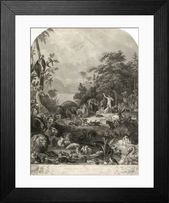 Framed Print : 13418587 Framed Print : 13418587