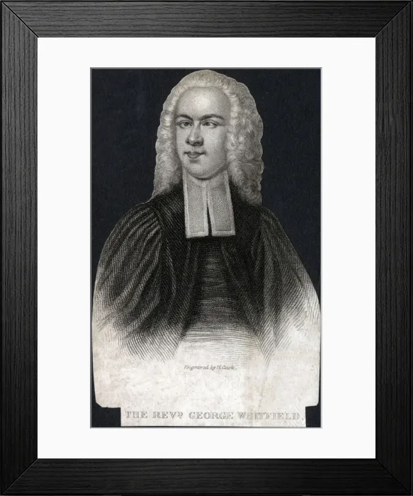 Framed Print : 13418897 Framed Print : 13418897