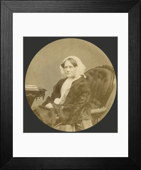 Framed Print : 13418902 Framed Print : 13418902