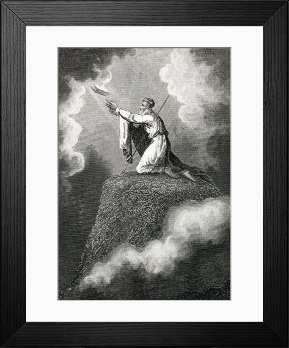 Framed Print : 13418904 Framed Print : 13418904