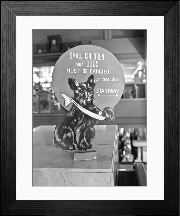 Framed Print : Bentalls Department Store - Kingston-upon-Thames Framed Print : Bentalls Department Store - Kingston-upon-Thames
