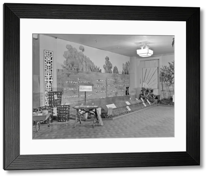 Framed Print : Bentalls Department Store - Kingston-upon-Thames Framed Print : Bentalls Department Store - Kingston-upon-Thames