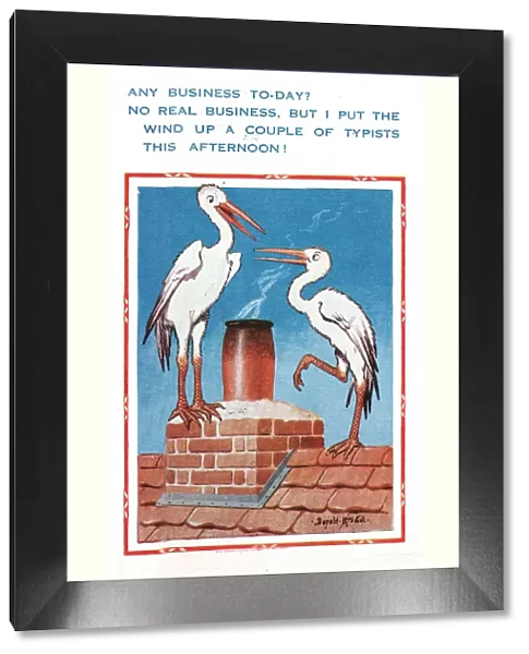 Comic postcard, two storks on a roof
