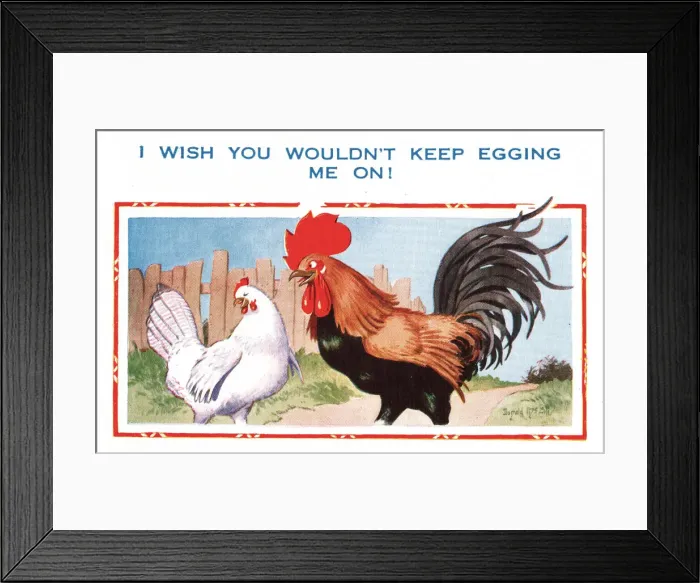 Framed Print : Comic postcard, cockerel and hen flirtation Framed Print : Comic postcard, cockerel and hen flirtation