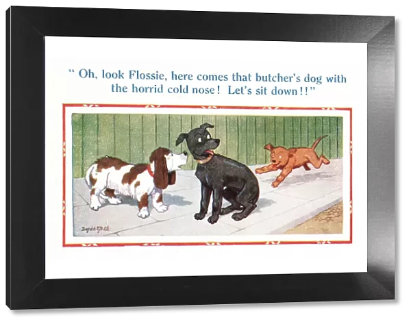Comic postcard, three dogs