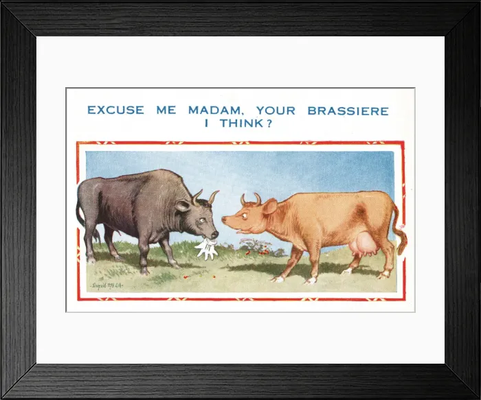 Framed Print : Comic postcard, cow and bull - your brassiere, I think? Date: 20th century Framed Print : Comic postcard, cow and bull - your brassiere, I think? Date: 20th century