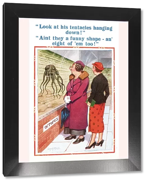 Comic postcard, two women discuss an octopus Date: 20th century