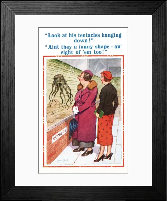 Framed Print : Comic postcard, two women discuss an octopus Date: 20th century Framed Print : Comic postcard, two women discuss an octopus Date: 20th century