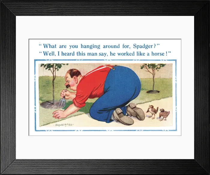 Framed Print : Comic postcard, man gardening, two sparrows Date: 20th century Framed Print : Comic postcard, man gardening, two sparrows Date: 20th century