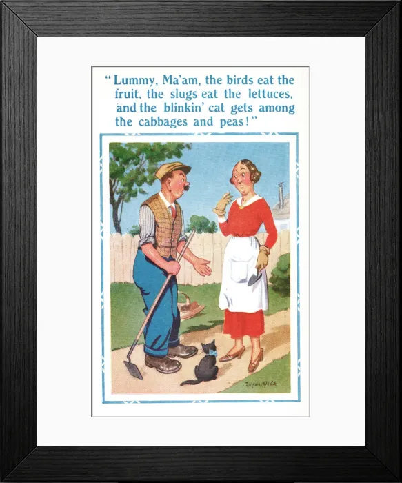 Framed Print : Comic postcard, gardener complaining Framed Print : Comic postcard, gardener complaining