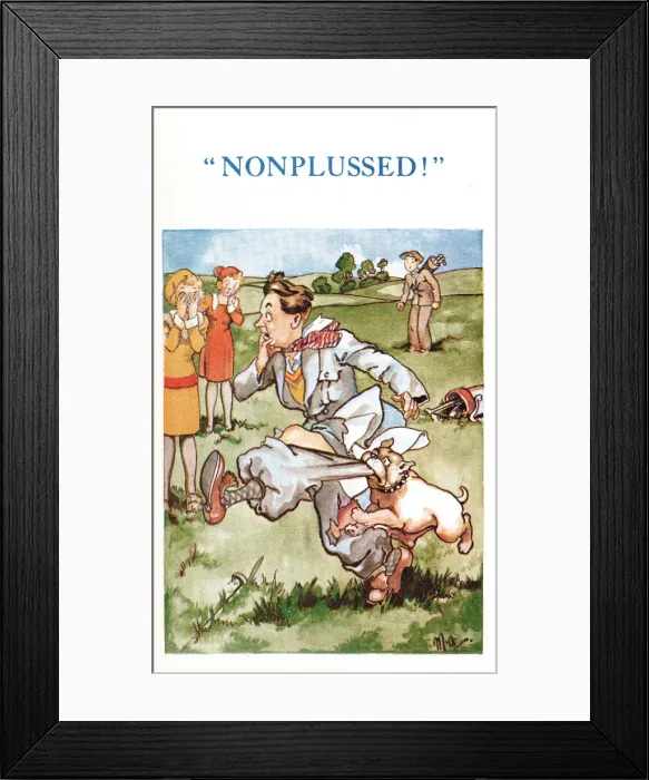 Framed Print : Comic postcard, dog attack on golf course - Nonplussed! Date: 20th century Framed Print : Comic postcard, dog attack on golf course - Nonplussed! Date: 20th century
