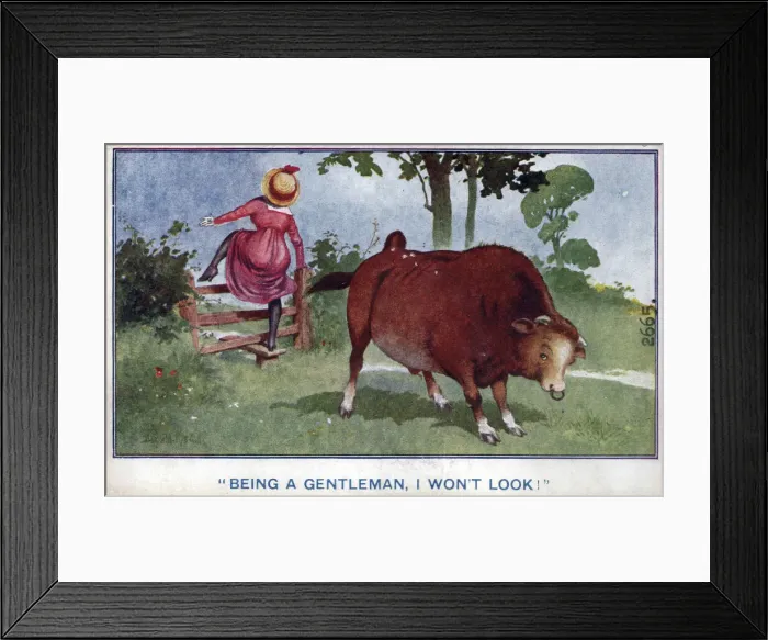 Framed Print : Comic postcard, Woman climbing over stile, with bull in field Date: circa 1918 Framed Print : Comic postcard, Woman climbing over stile, with bull in field Date: circa 1918