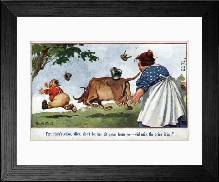 Framed Print : Comic postcard, Man chased by cow Date: circa 1918 Framed Print : Comic postcard, Man chased by cow Date: circa 1918