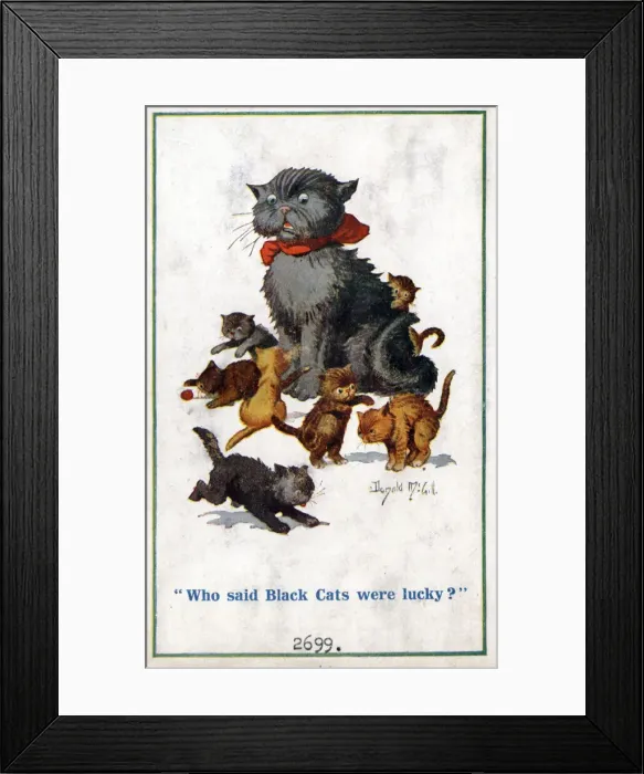 Framed Print : Comic postcard, Black cat annoyed by kittens Date: circa 1918 Framed Print : Comic postcard, Black cat annoyed by kittens Date: circa 1918
