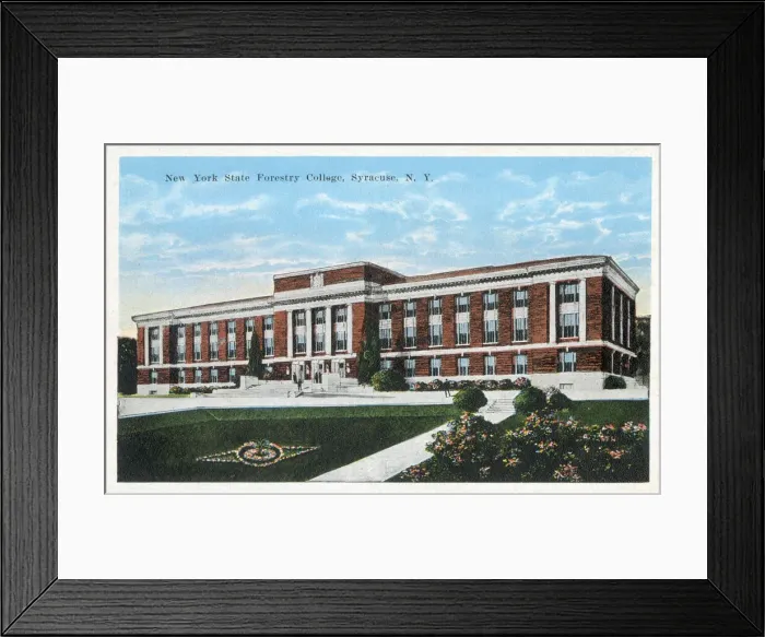 Framed Print : New York State Forestry College, Syracuse, NY, USA Date: circa 1920 Framed Print : New York State Forestry College, Syracuse, NY, USA Date: circa 1920