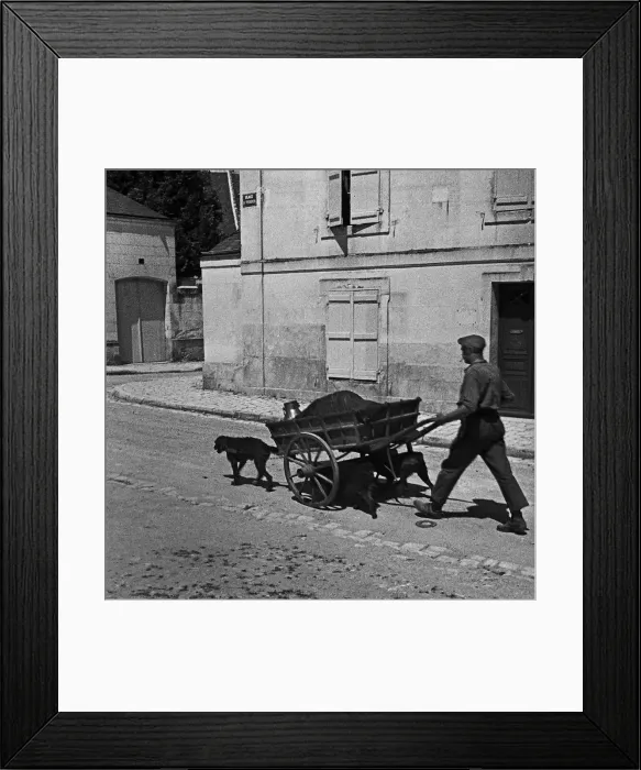 Framed Print : Cart being pulled by dogs in rural France Framed Print : Cart being pulled by dogs in rural France