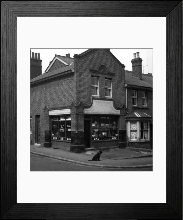 Framed Print : Dog waits for owner outside corner shop, London Framed Print : Dog waits for owner outside corner shop, London