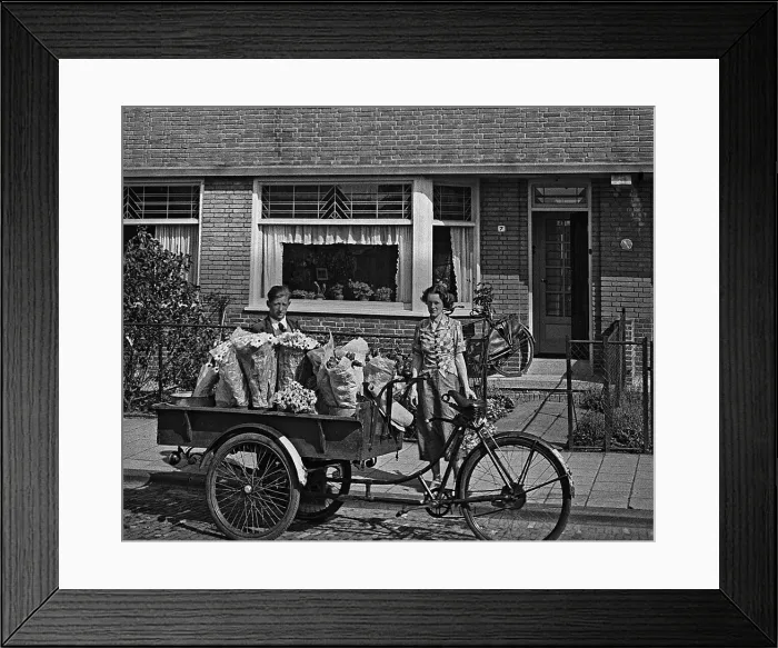Framed Print : Flower seller in Amsterdam, Netherlands