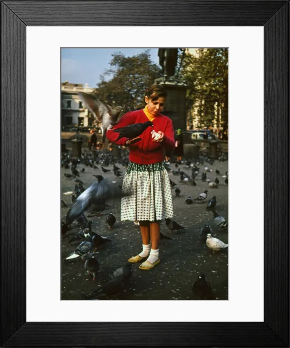 Framed Print : Girl feeding pigeons in Trafalgar Square, London Framed Print : Girl feeding pigeons in Trafalgar Square, London