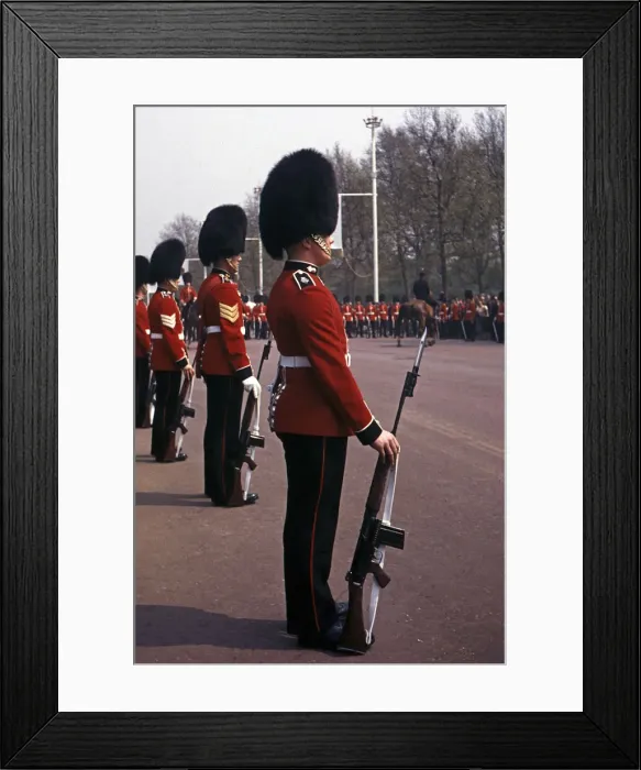 Framed Print : Guards in the Mall, London Framed Print : Guards in the Mall, London