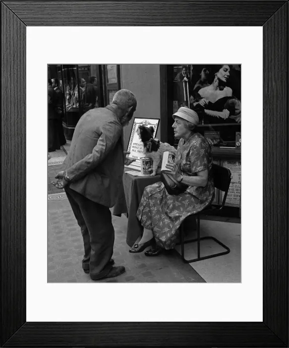 Framed Print : Homeless man asks for donation from PDSA collector Framed Print : Homeless man asks for donation from PDSA collector