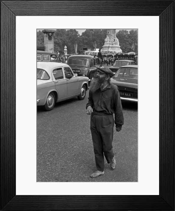 Framed Print : Homeless man looks up at Buckingham Palace, London Framed Print : Homeless man looks up at Buckingham Palace, London