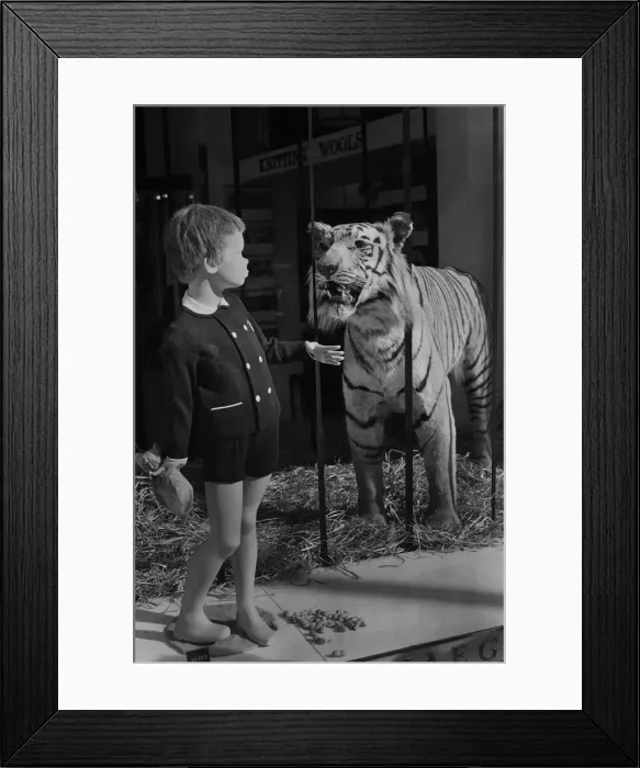 Framed Print : Jaeger window display, West End of London Framed Print : Jaeger window display, West End of London