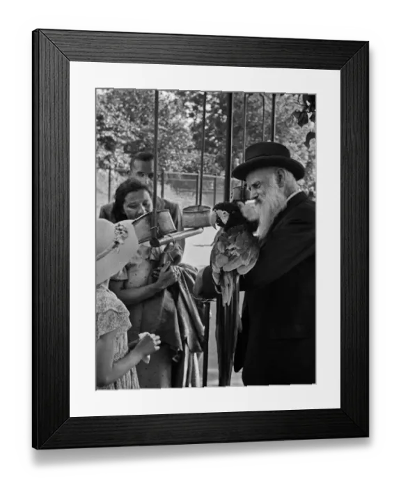 Framed Print : People and parrot at London Zoo Framed Print : People and parrot at London Zoo