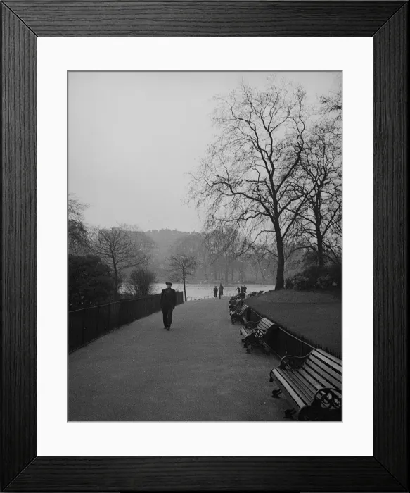 Framed Print : Misty morning, St Jamess Park, London Framed Print : Misty morning, St Jamess Park, London