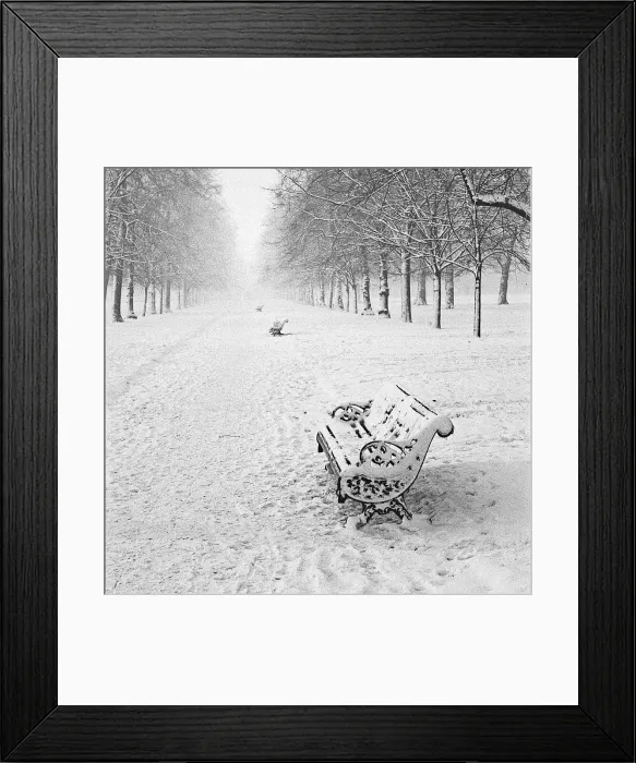 Framed Print : Park in the snow Framed Print : Park in the snow