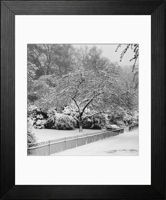 Framed Print : Park under heavy snow, London Framed Print : Park under heavy snow, London