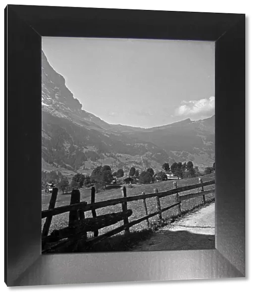 Pastoral scene, Grindelwald, Switzerland
