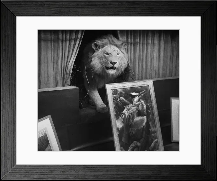 Framed Print : The Ward Gallery, Piccadilly, London Framed Print : The Ward Gallery, Piccadilly, London