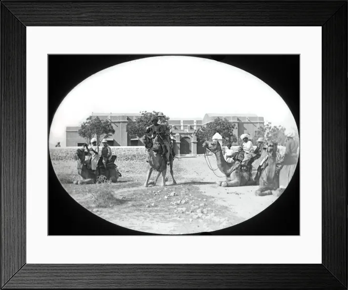 Framed Print : Colonial India, camel riders Framed Print : Colonial India, camel riders