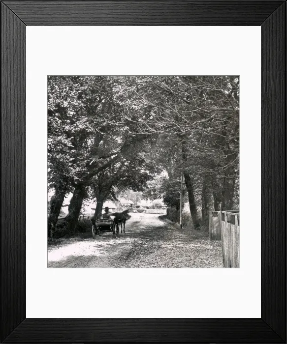 Framed Print : The Lane, South Hayling, Hampshire, England Framed Print : The Lane, South Hayling, Hampshire, England