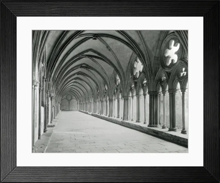 Framed Print : The Cloisters, East Walk, Salisbury Cathedral, Wiltshire Framed Print : The Cloisters, East Walk, Salisbury Cathedral, Wiltshire