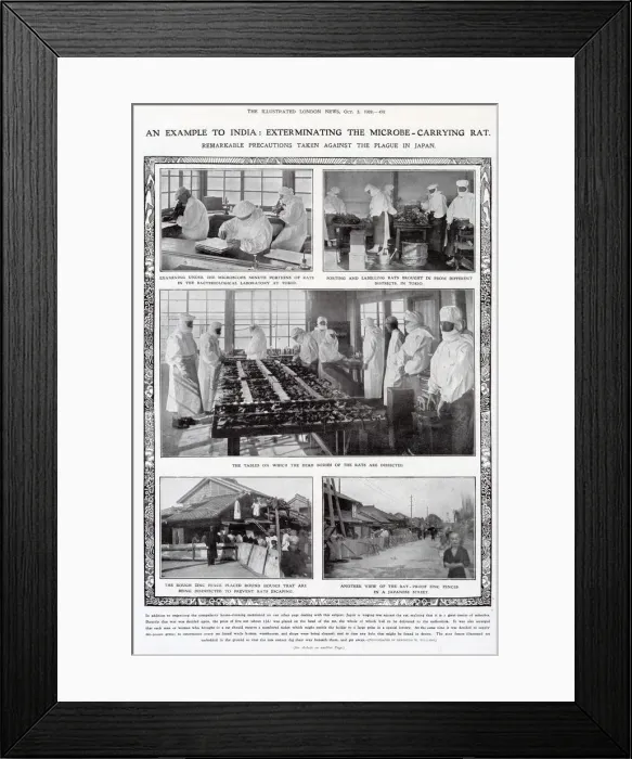 Framed Print : Precautions taken against the plague in Japan, 1908 Framed Print : Precautions taken against the plague in Japan, 1908