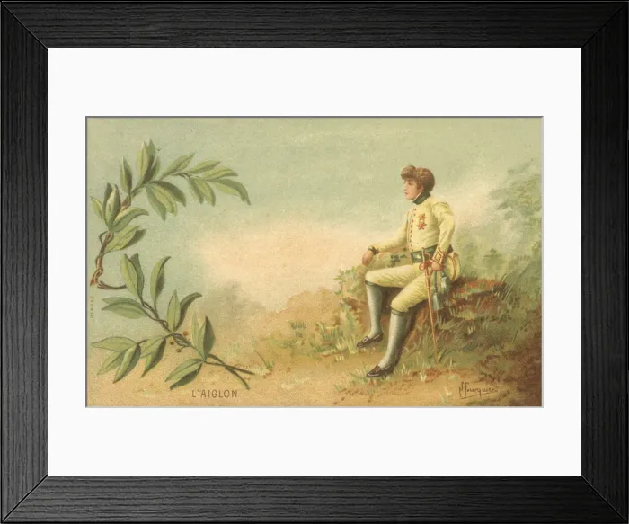 Framed Print : L Aiglon, by Edmond Rostand Framed Print : L Aiglon, by Edmond Rostand
