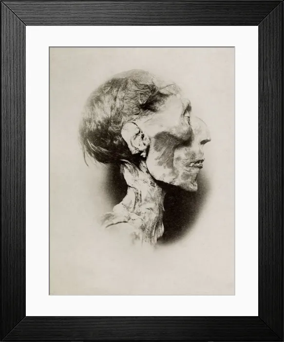 Framed Print : Mummified head of King Ramses Ramesses II Framed Print : Mummified head of King Ramses Ramesses II