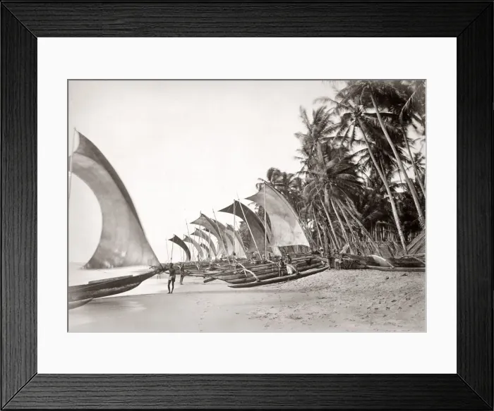 Framed Print : Fishing catamarans beach, Ceylon (Sri Lanka), c. 1880 s Framed Print : Fishing catamarans beach, Ceylon (Sri Lanka), c. 1880 s