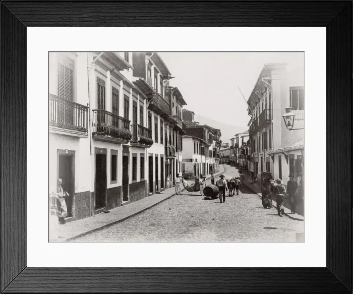 Framed Print : Street scene in Funchal, Madeira, Portugal Framed Print : Street scene in Funchal, Madeira, Portugal