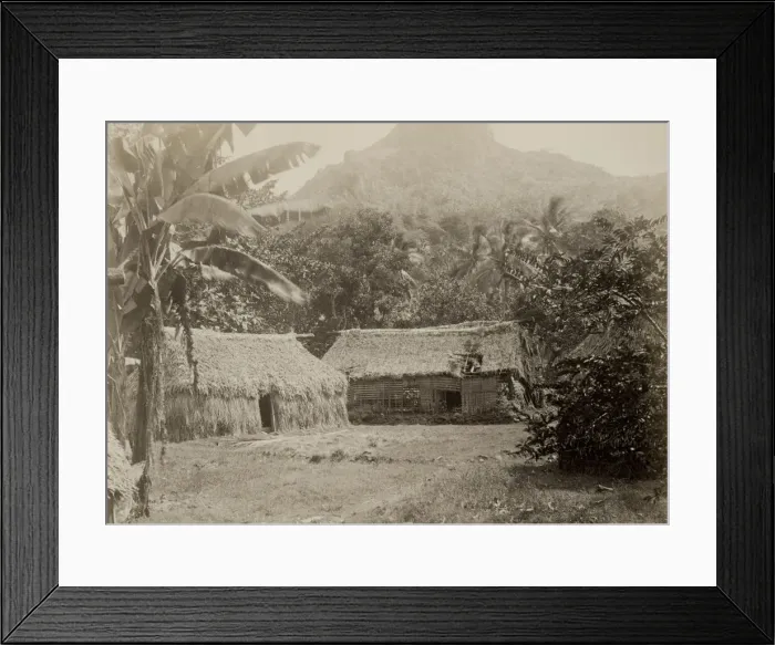 Framed Print : Grass houses, at Waitova, near Levuku, Fiji Framed Print : Grass houses, at Waitova, near Levuku, Fiji