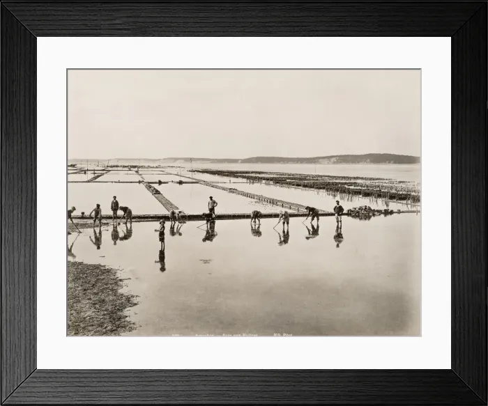Framed Print : Oyster beds and fishermen, Arcachon, France Framed Print : Oyster beds and fishermen, Arcachon, France