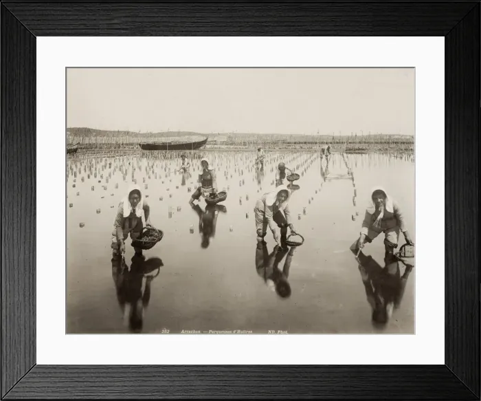 Framed Print : The oyster beds, Arcachon, France, image c. 1890 Framed Print : The oyster beds, Arcachon, France, image c. 1890