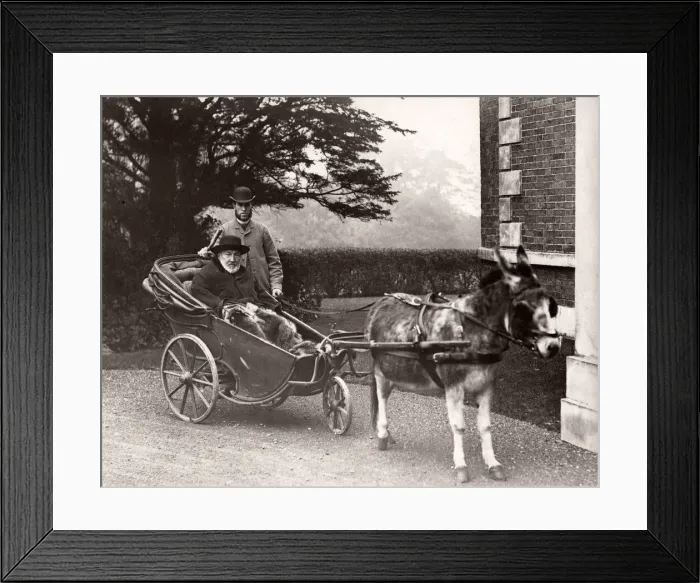 Framed Print : Elderly man in a three wheeled donkey cart and servant Framed Print : Elderly man in a three wheeled donkey cart and servant