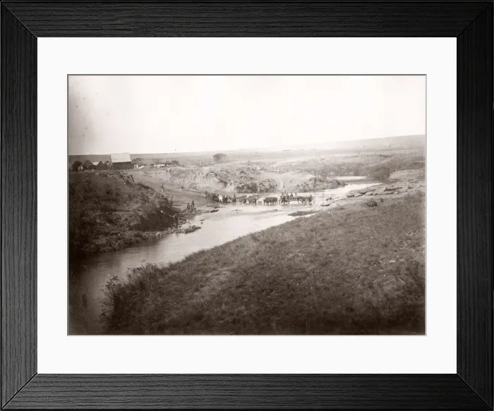 Framed Print : Ox drawn wagon crossing river, South Africa Framed Print : Ox drawn wagon crossing river, South Africa