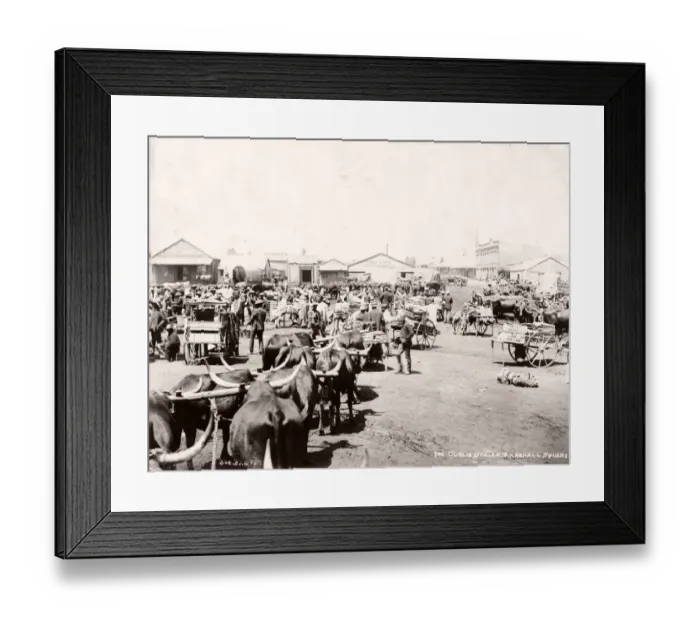 Framed Print : Market, Marshall Square, Johannesburg, South Africa Framed Print : Market, Marshall Square, Johannesburg, South Africa